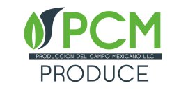 Diseño de logotipos en Monterrey