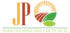 Diseño de logotipos en Monterrey
